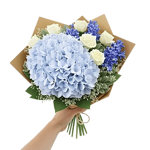 Serene Petal Harmony