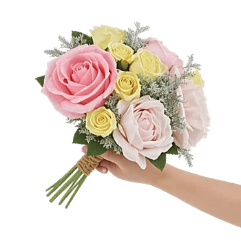 Pastel Pink Roses
