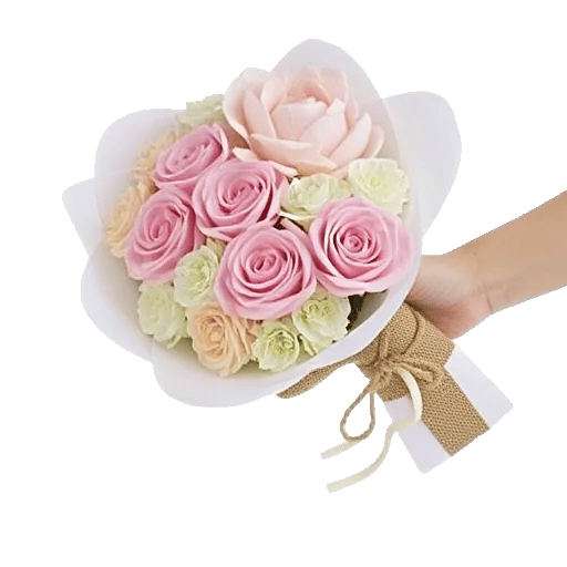 Pastel Pink Roses