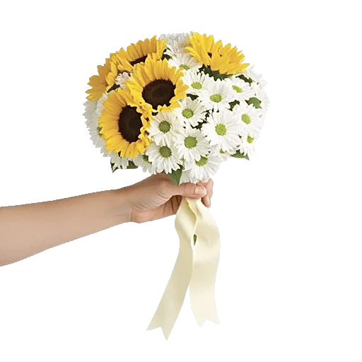 Twinkling Sunflower Dance