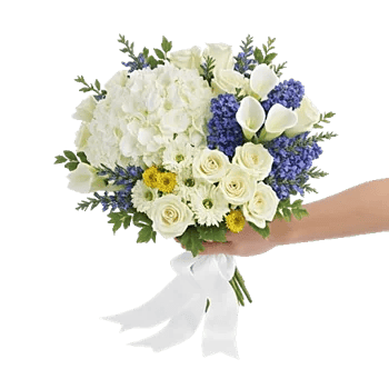 Ivory Garden Grace
