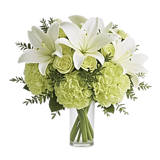 Ivory Blossom Radiance