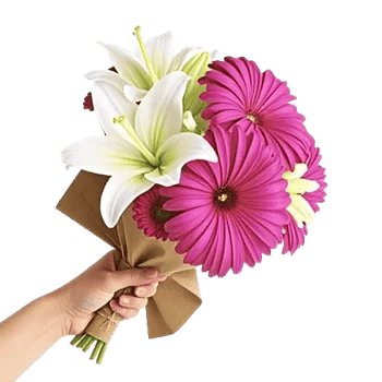 Graceful Lily Display