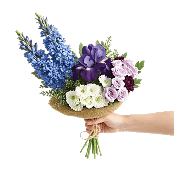 Serenity Blossom Grace