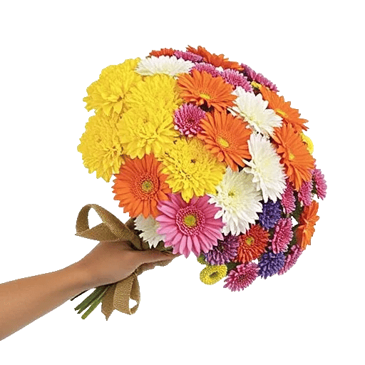 Blossom Harmony Display