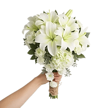 Serene Lily Cascade