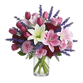 Velvet Tulip Display