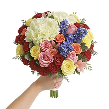 Serene Petal Harmony