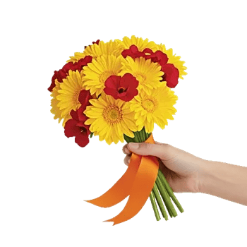 Golden Petal Harmony