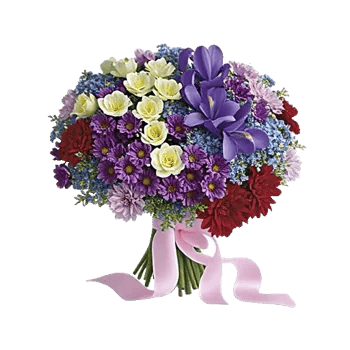 Blossom Petal Serenity