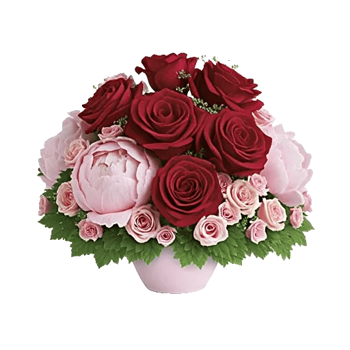 Radiant Rose Symphony