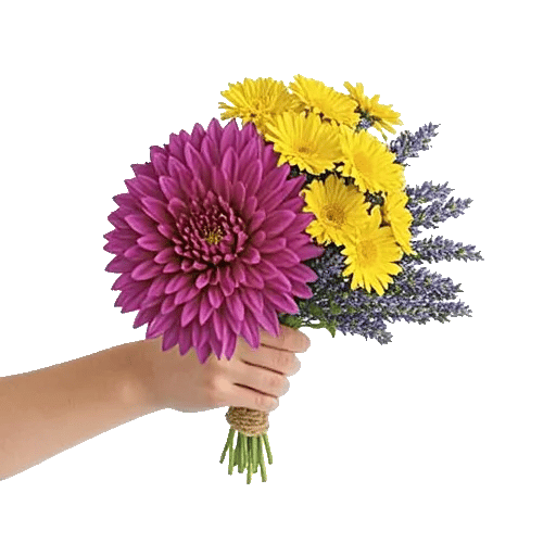 Radiant Bloom Cascade