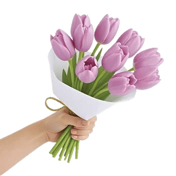 Velvet Tulip Display