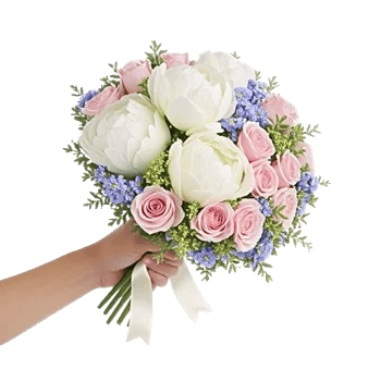 Peony Petal Harmony