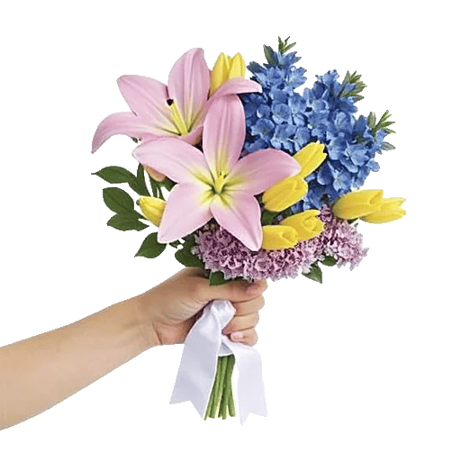 Blossom Petal Serenity