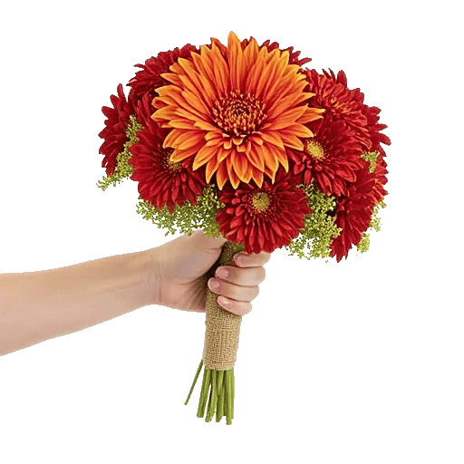 Radiant Bloom Cascade