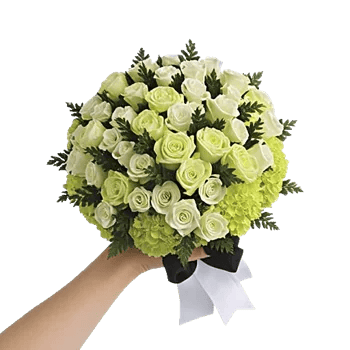 Serene Petal Harmony