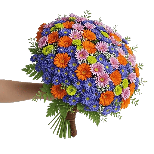 Blossom Petal Serenity