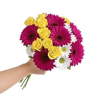 Petal Harmony Bliss