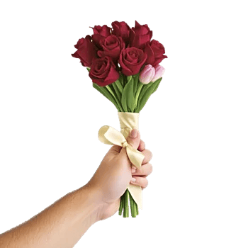 Velvet Tulip Display