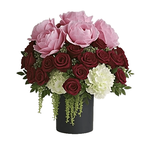 Petal Radiance Bliss