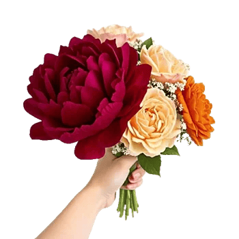 Peony Petal Harmony