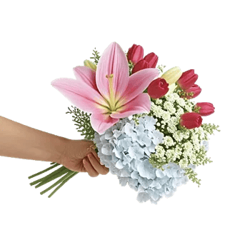 Blossom Harmony Display