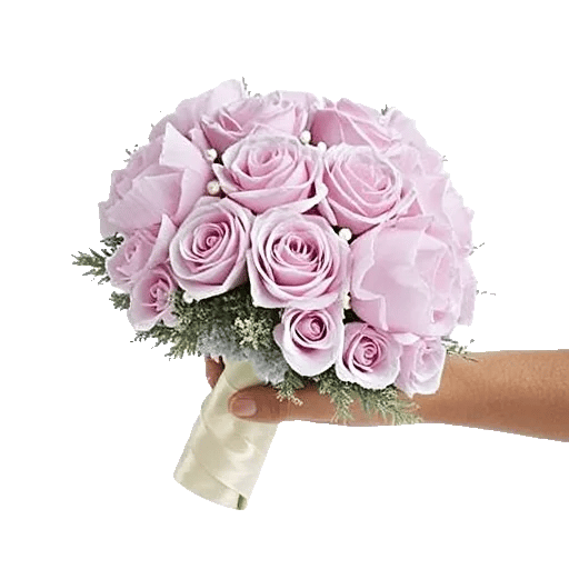 Pastel Pink Roses