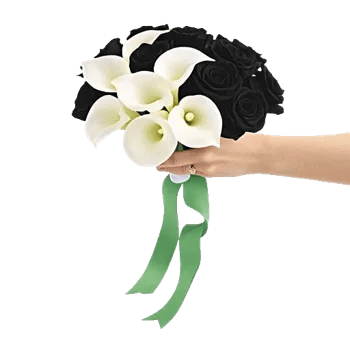 Elegant Calla Lilies