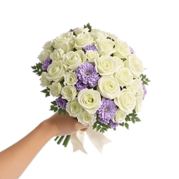 Ivory Garden Grace