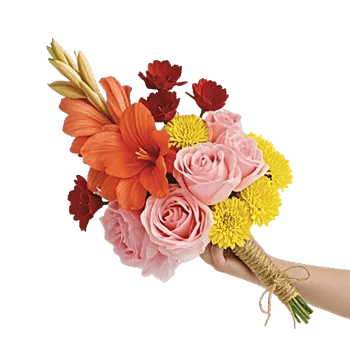 Petal Radiance Bliss