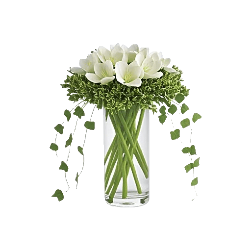 Ivory Blossom Radiance