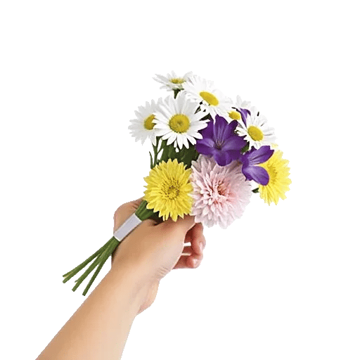 Blossom Harmony Display