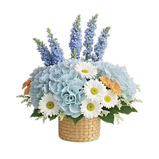 Serene Petal Harmony