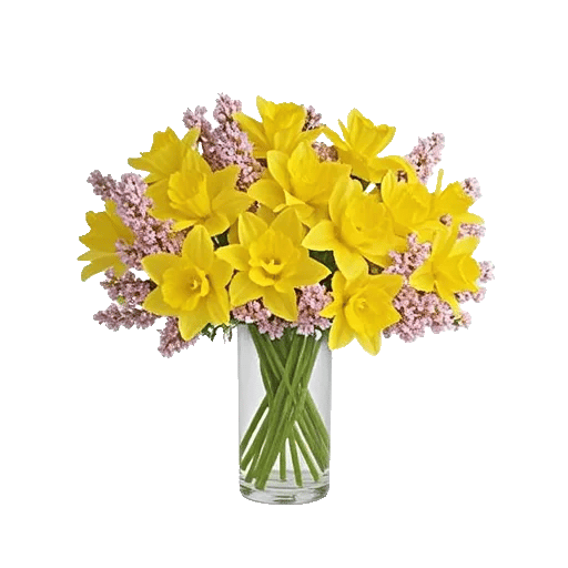 Petal Radiance Bliss