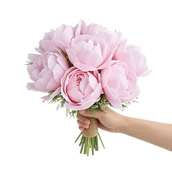 Peony Petal Harmony