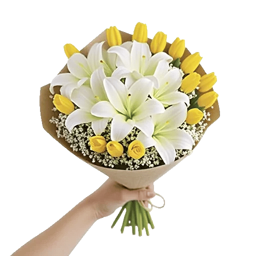Blossom Harmony Display
