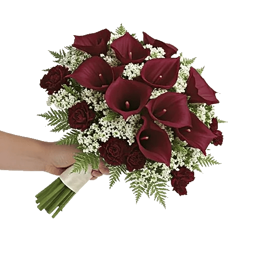 Elegant Calla Lilies