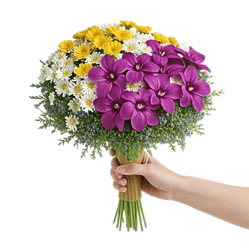 Serenity Orchid Bloom