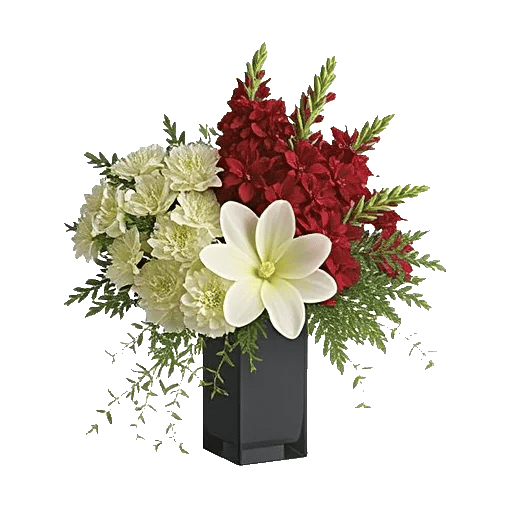 Ivory Blossom Radiance