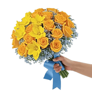 Pastel Blossom Grace