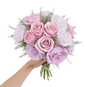 Pastel Pink Roses