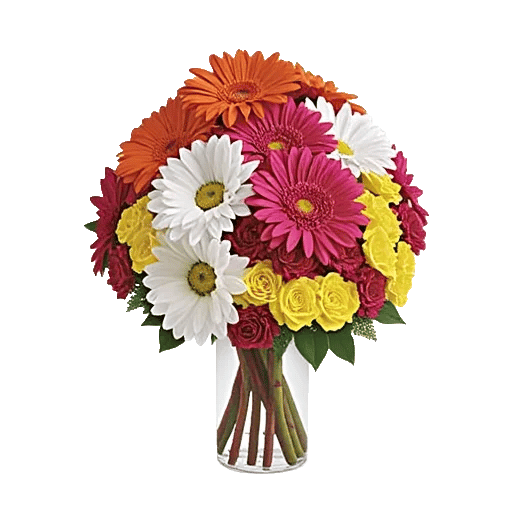 Petal Radiance Bliss