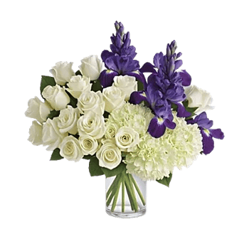 Ivory Blossom Radiance