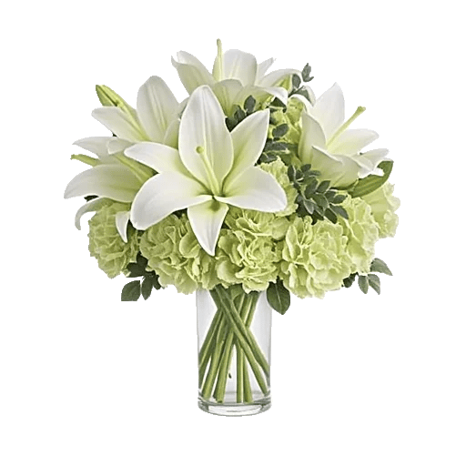 Ivory Blossom Radiance