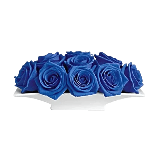 Elegant Blue Roses