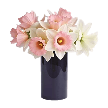 Ivory Blossom Radiance