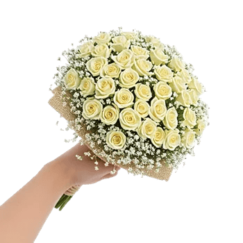 Blossom Radiant Whisper