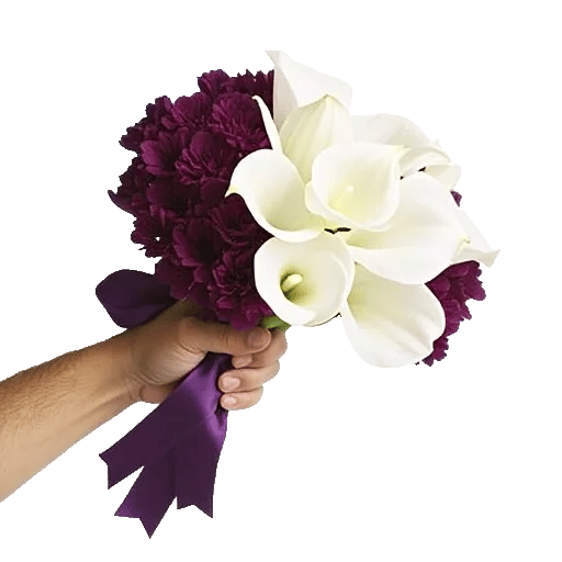 Elegant Calla Lilies