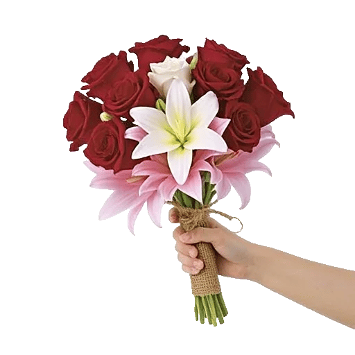 Crimson Rose Elegance